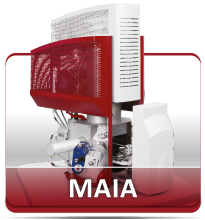 MAIA3 -- 场发射扫描电镜