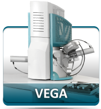 VEGA3 -- 钨灯丝扫描电镜